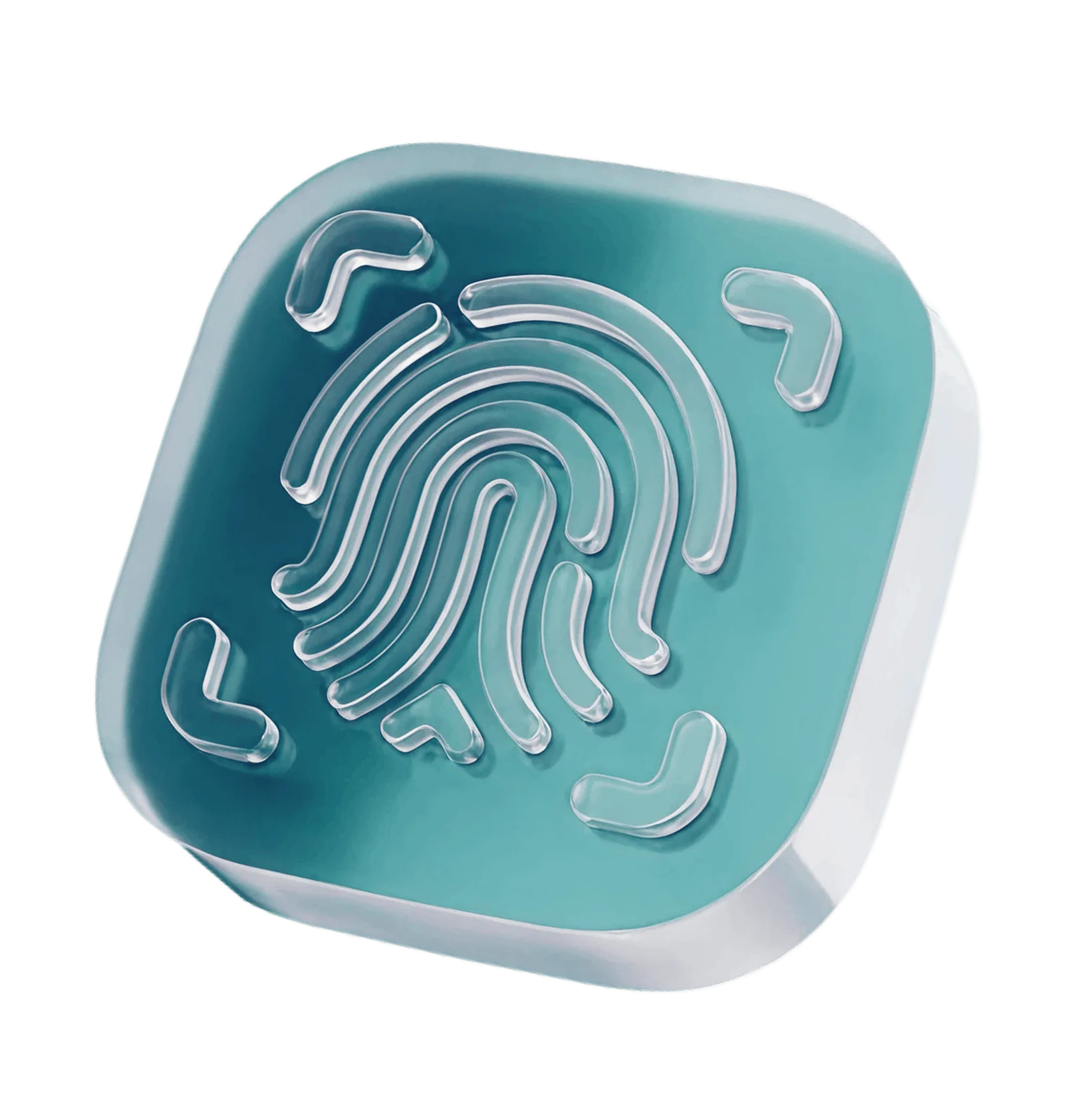 Fingerprint in a scanning frame representing biometric identity verification