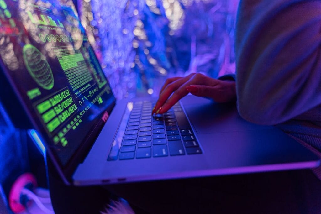 E-Commerce and Fraud During the 2024 Holiday Season